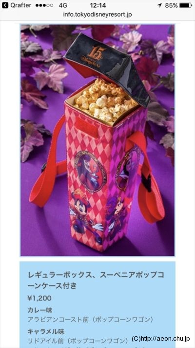 TDS限定ポップコーンケース